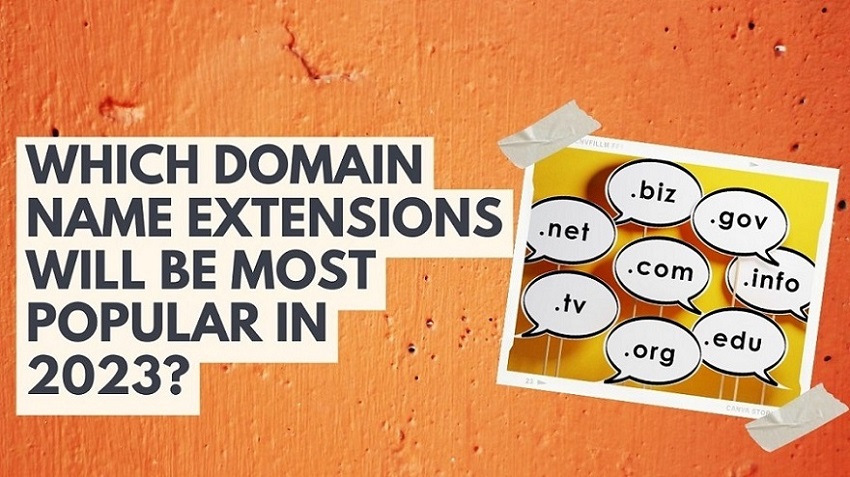 Domain Name Extensions